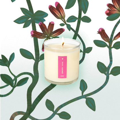 Somerset Thyme - Plant the Box Candle - 9oz. - La Vie Est Belle