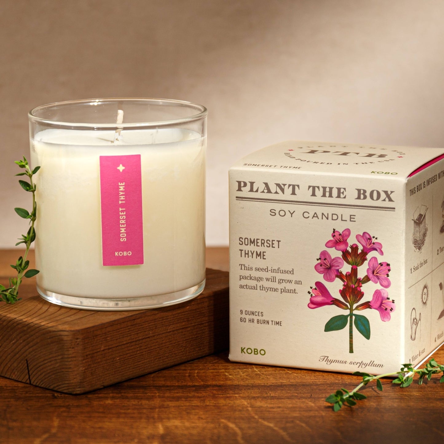 Somerset Thyme - Plant the Box Candle - 9oz. - La Vie Est Belle