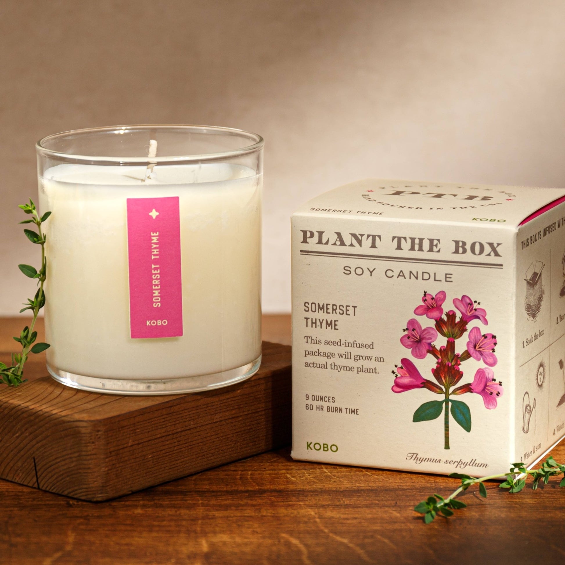 Somerset Thyme - Plant the Box Candle - 9oz. - La Vie Est Belle