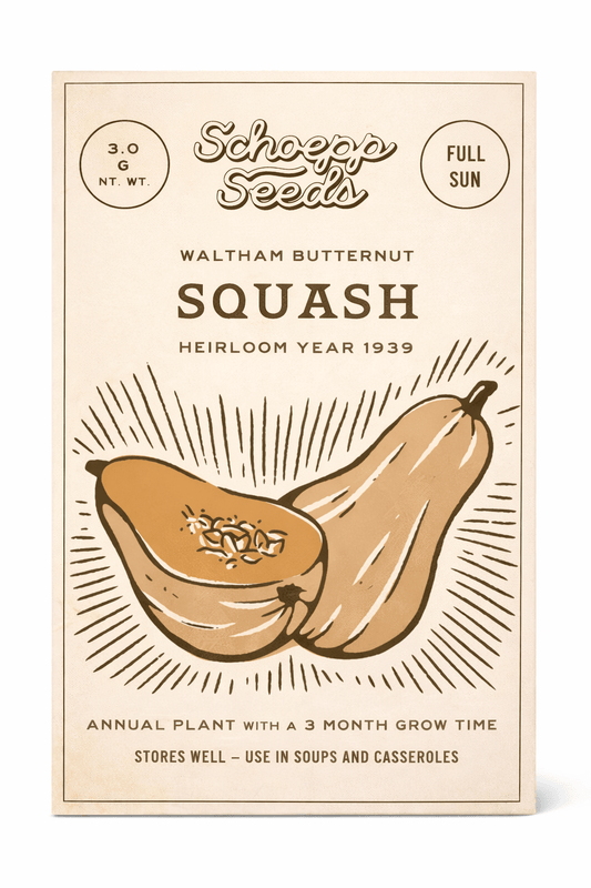 Squash, Butternut Heirloom Garden Seed Packet - La Vie Est Belle