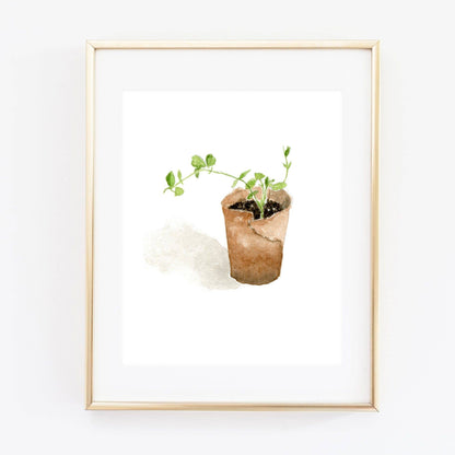 Sweet Pea Art Print - La Vie Est Belle
