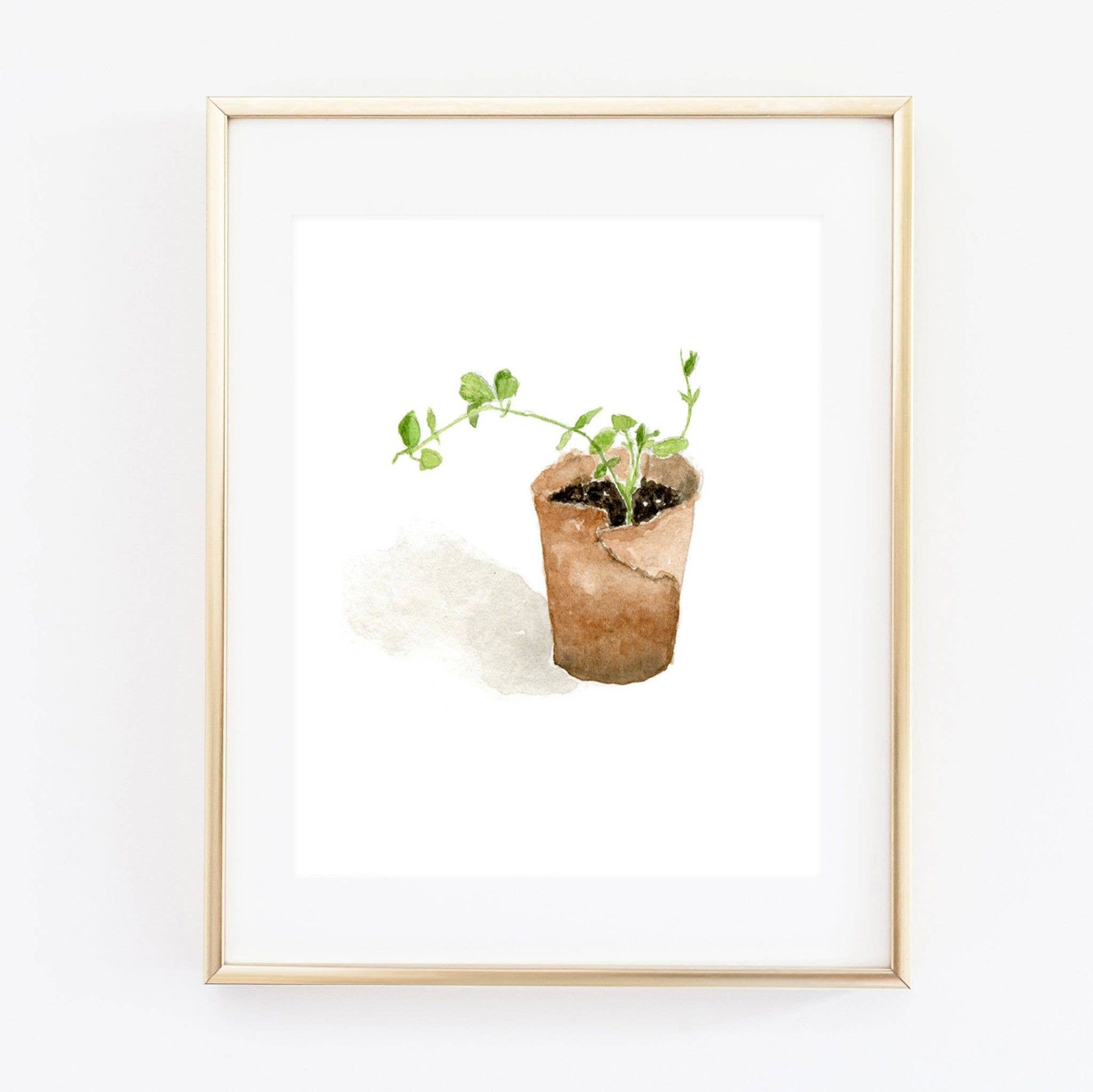 Sweet Pea Art Print - La Vie Est Belle