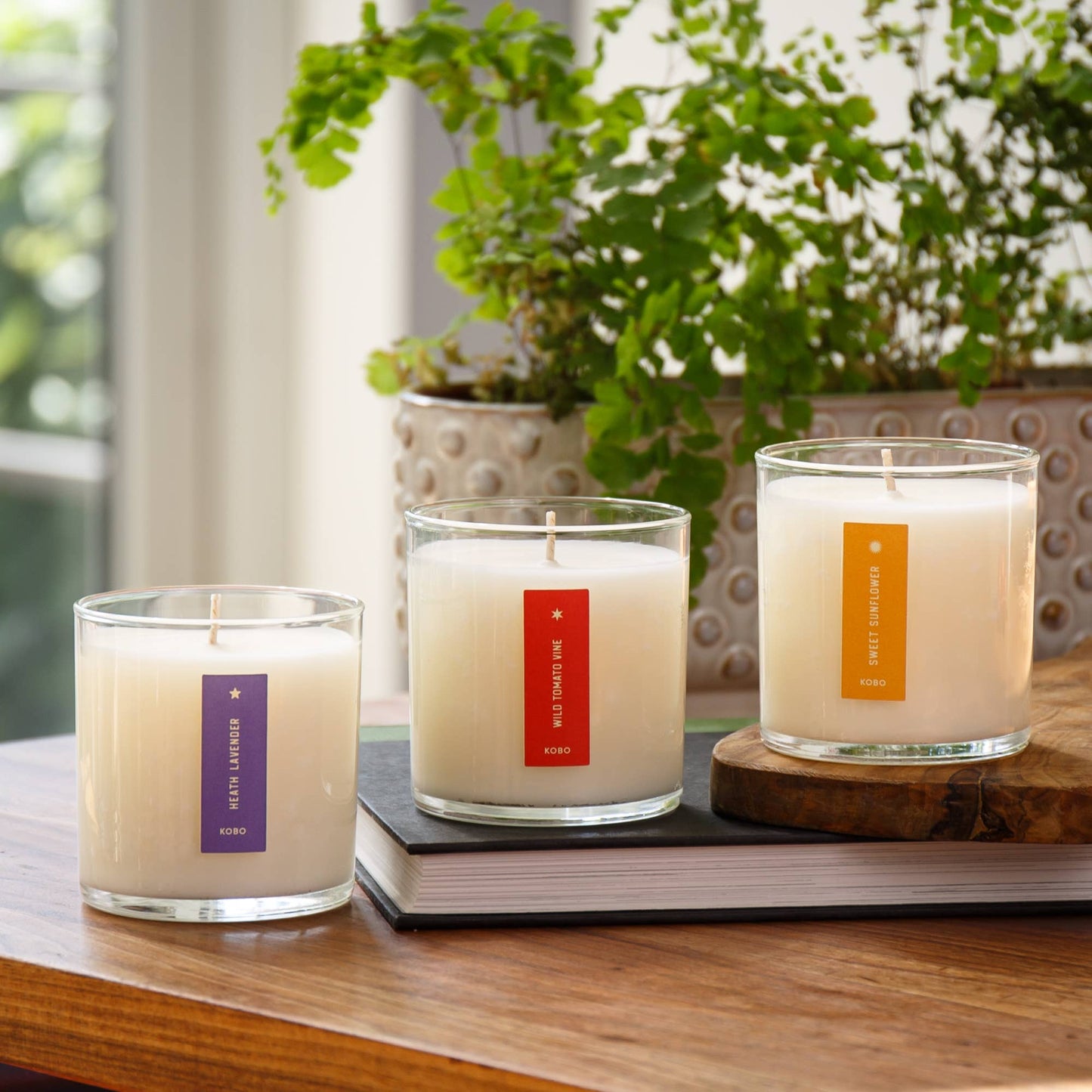 Sweet Sunflower - Plant the Box Candle - 9oz. - La Vie Est Belle