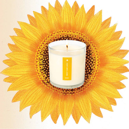 Sweet Sunflower - Plant the Box Candle - 9oz. - La Vie Est Belle