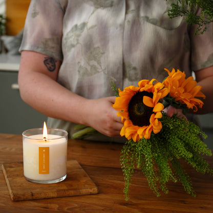 Sweet Sunflower - Plant the Box Candle - 9oz. - La Vie Est Belle