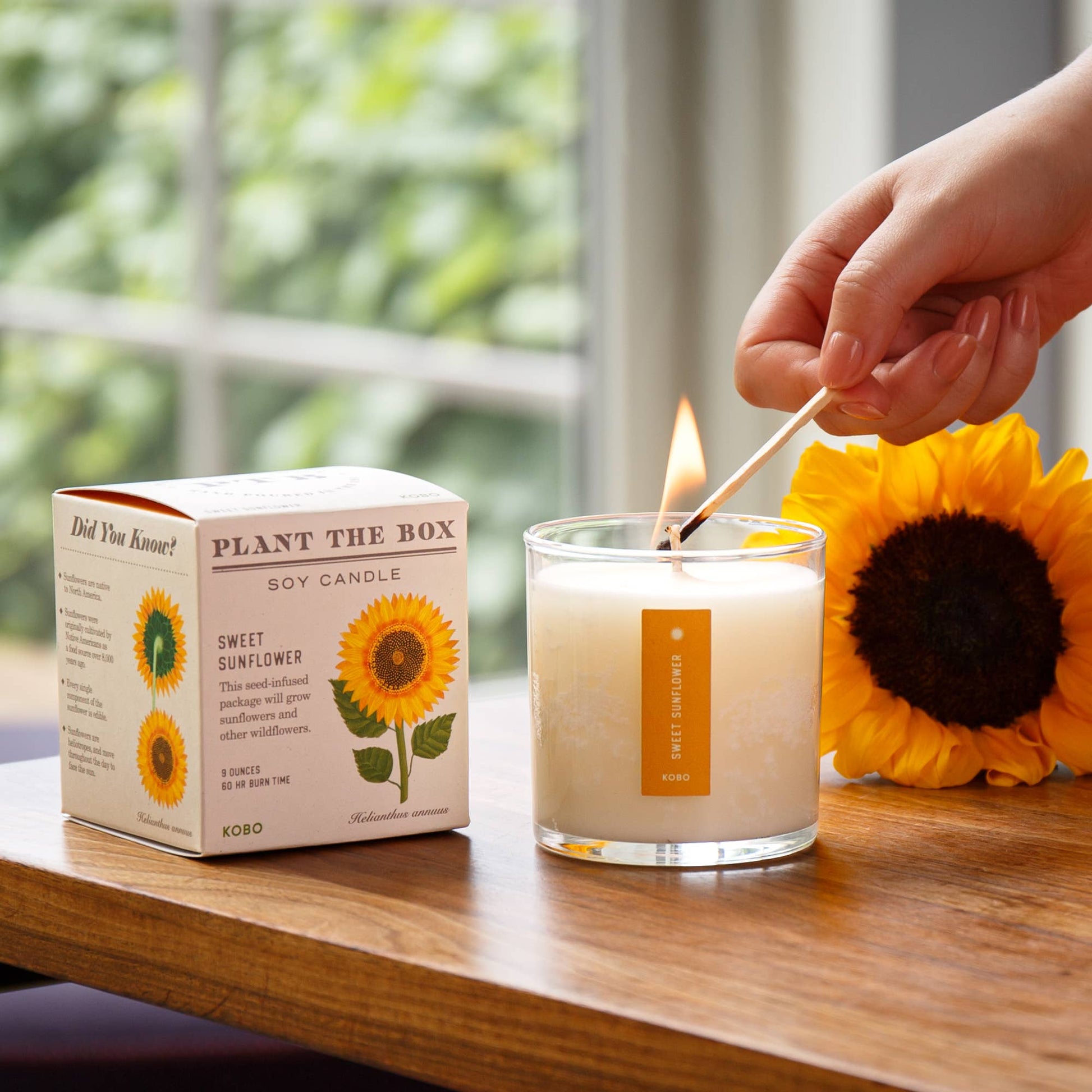 Sweet Sunflower - Plant the Box Candle - 9oz. - La Vie Est Belle