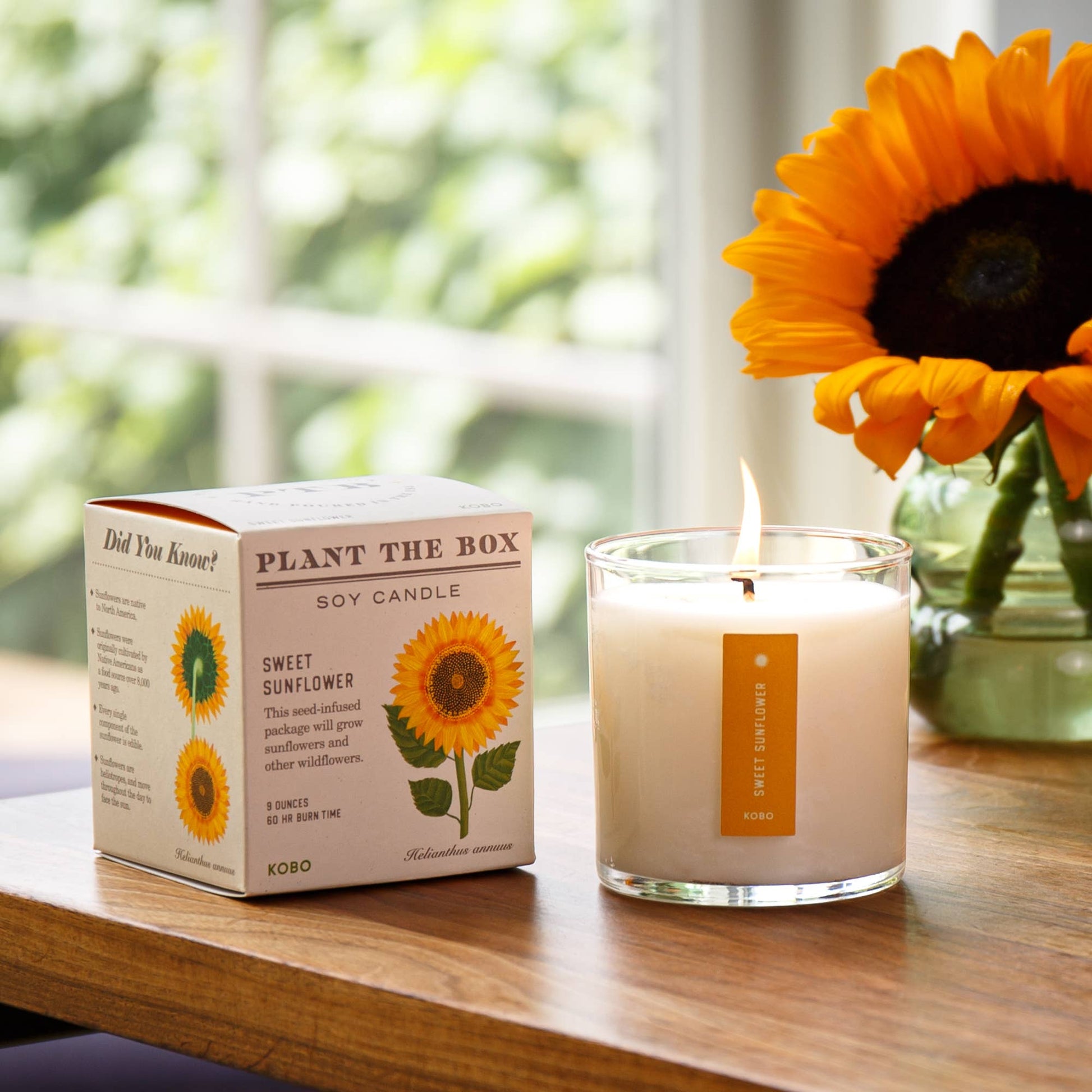 Sweet Sunflower - Plant the Box Candle - 9oz. - La Vie Est Belle