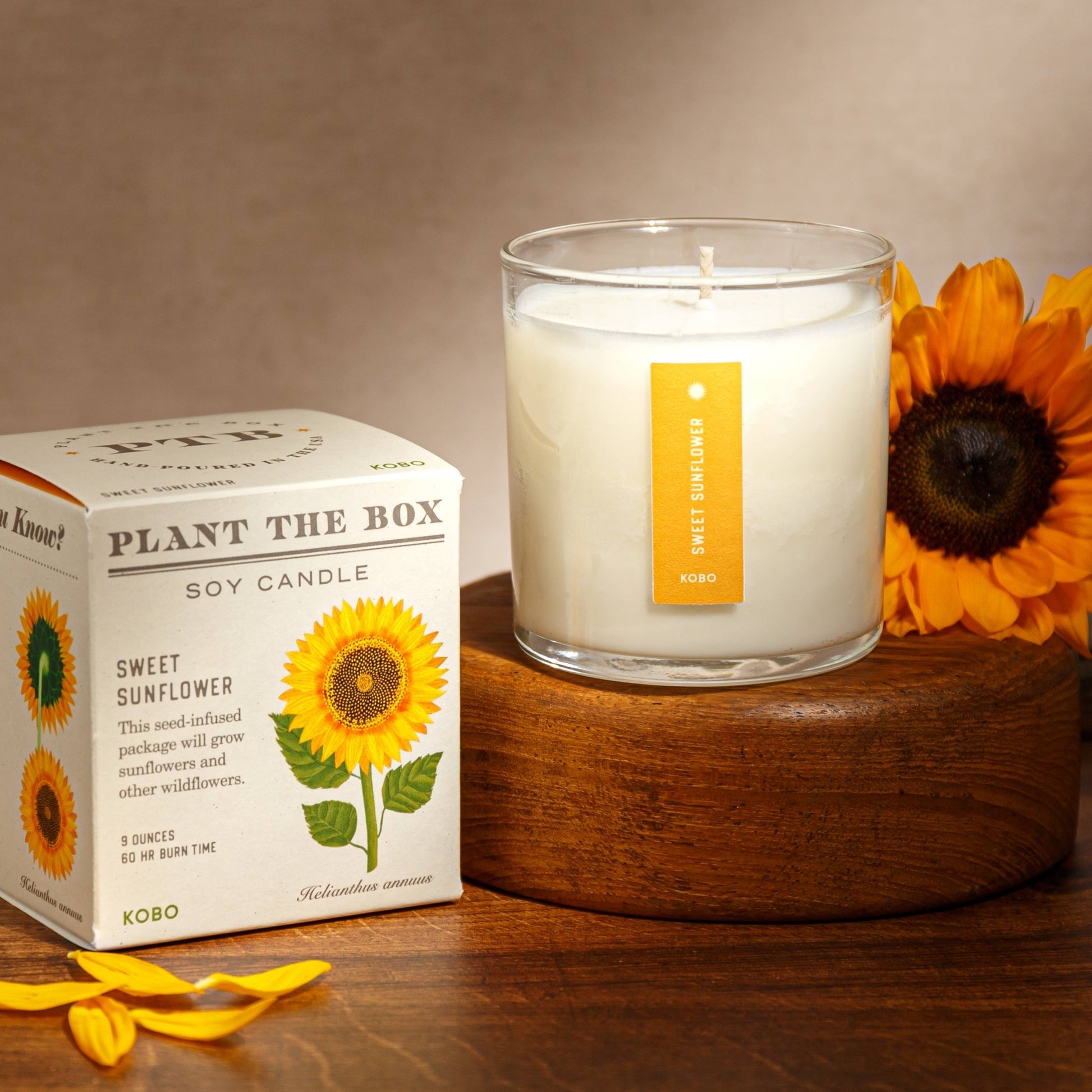 Sweet Sunflower - Plant the Box Candle - 9oz. - La Vie Est Belle