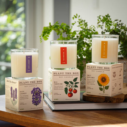 Sweet Sunflower - Plant the Box Candle - 9oz. - La Vie Est Belle