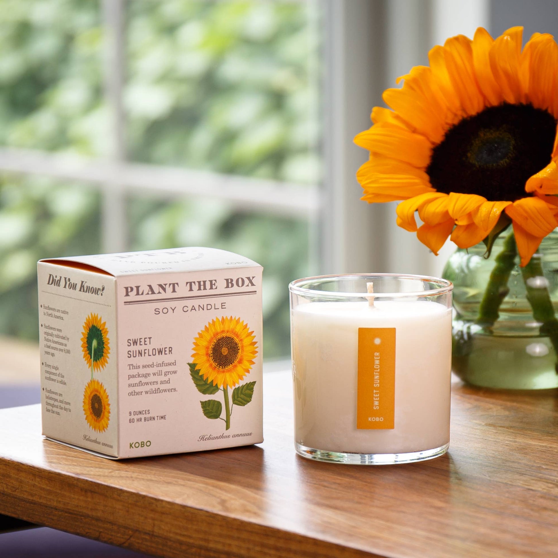 Sweet Sunflower - Plant the Box Candle - 9oz. - La Vie Est Belle
