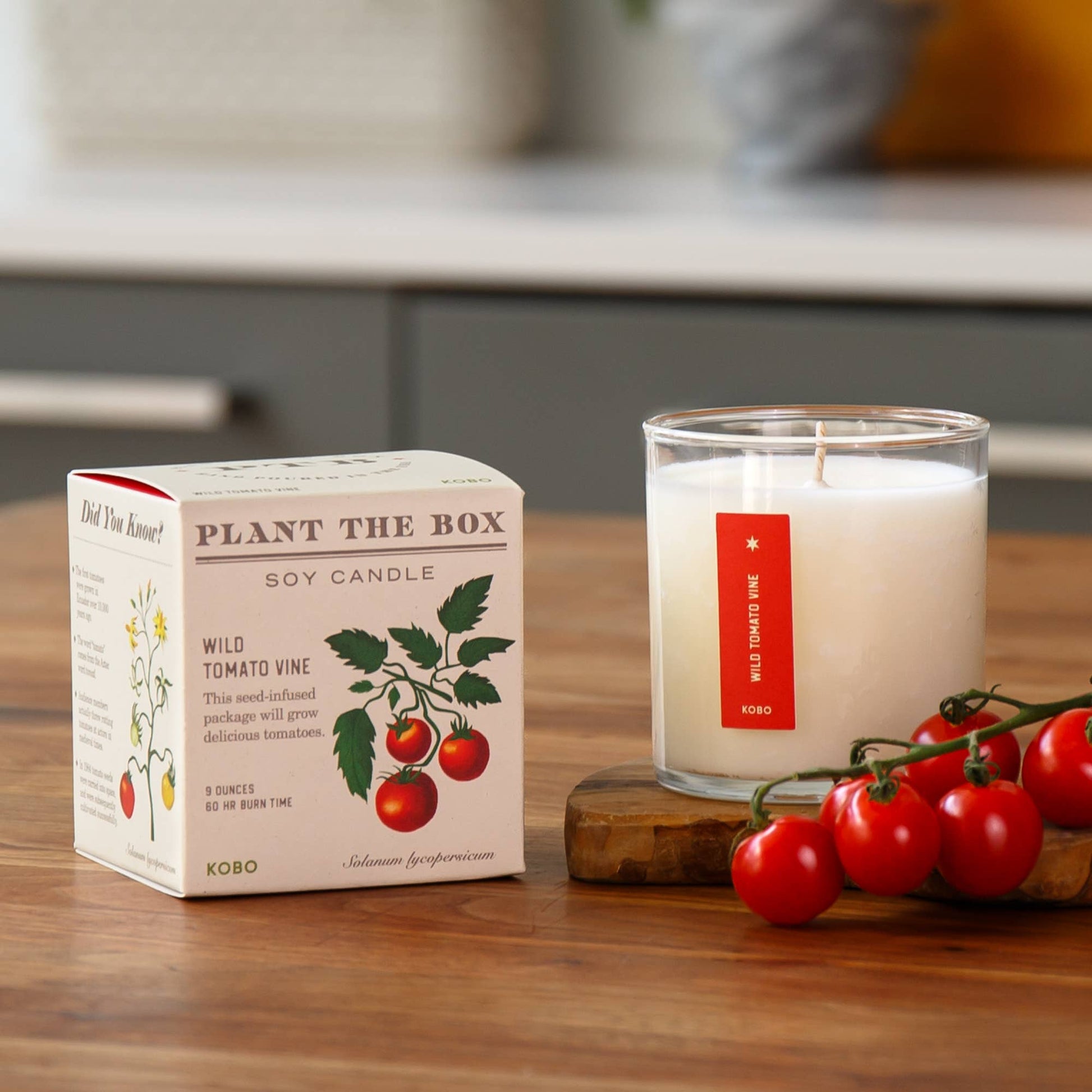 Wild Tomato Vine - Plant the Box Candle - 9 oz. - La Vie Est Belle