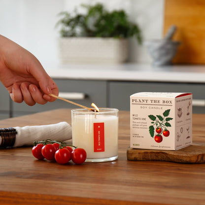 Wild Tomato Vine - Plant the Box Candle - 9 oz. - La Vie Est Belle