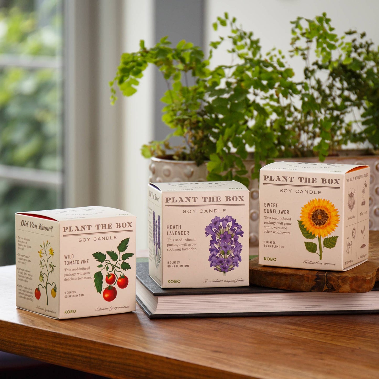 Wild Tomato Vine - Plant the Box Candle - 9 oz. - La Vie Est Belle