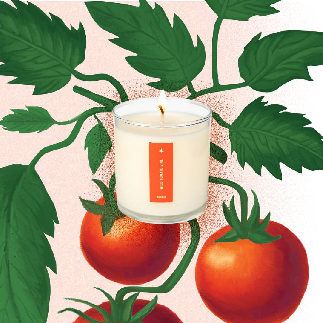 Wild Tomato Vine - Plant the Box Candle - 9 oz. - La Vie Est Belle