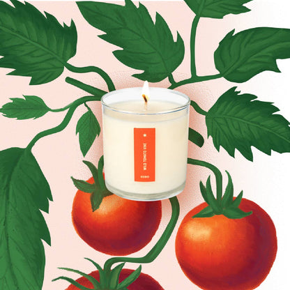 Wild Tomato Vine - Plant the Box Candle - 9 oz. - La Vie Est Belle